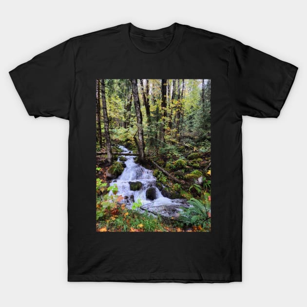 PNW Stream T-Shirt by kchase